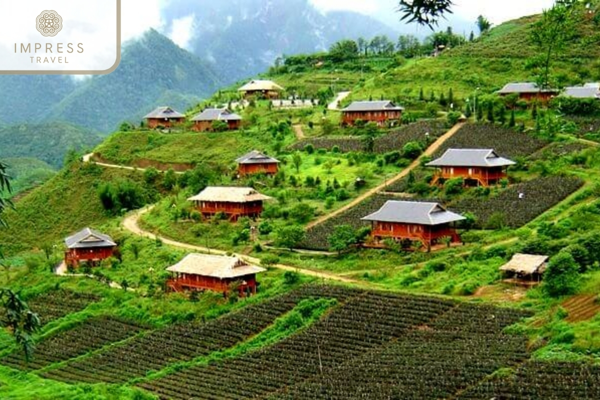 Y Linh Ho Village in culture tours to explore Sapa