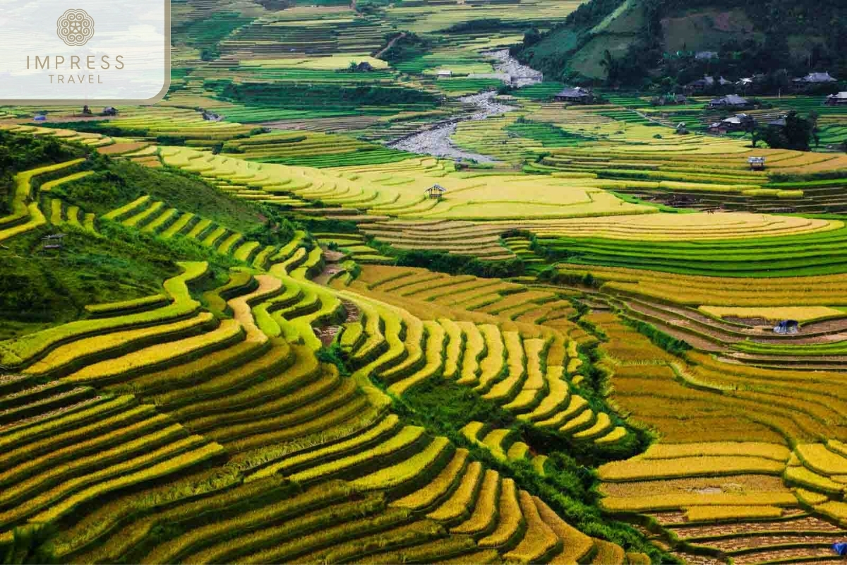 Mu Cang Chai From the Stunning Halong Bay to Mu Cang Chai 