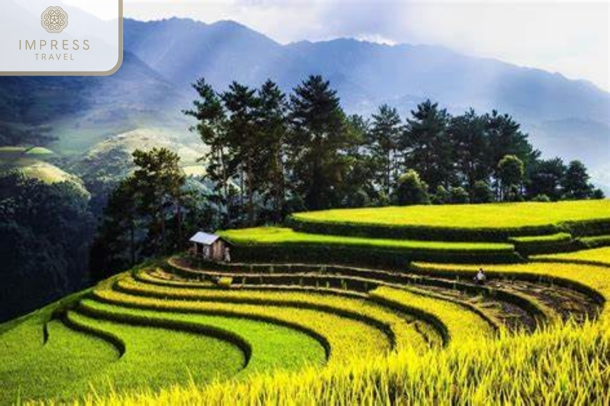 Mu Cang Chai in 3 Days 2 Nights from Nghia Lo to Mu Cang Chai