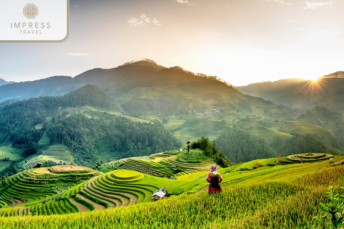 Mu Cang Chai Terraced Fields