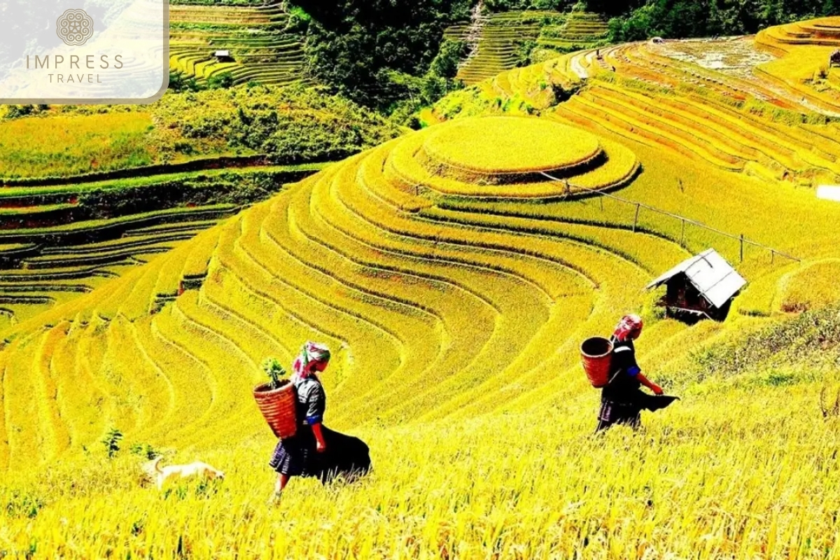 Lao Chai Village 