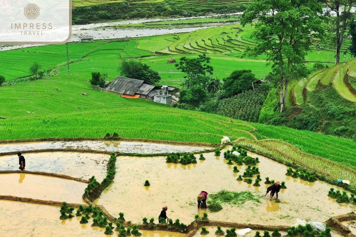 Giang Ta Chai Village in Sapa Tour by Bus with Stay in Ta Van Village