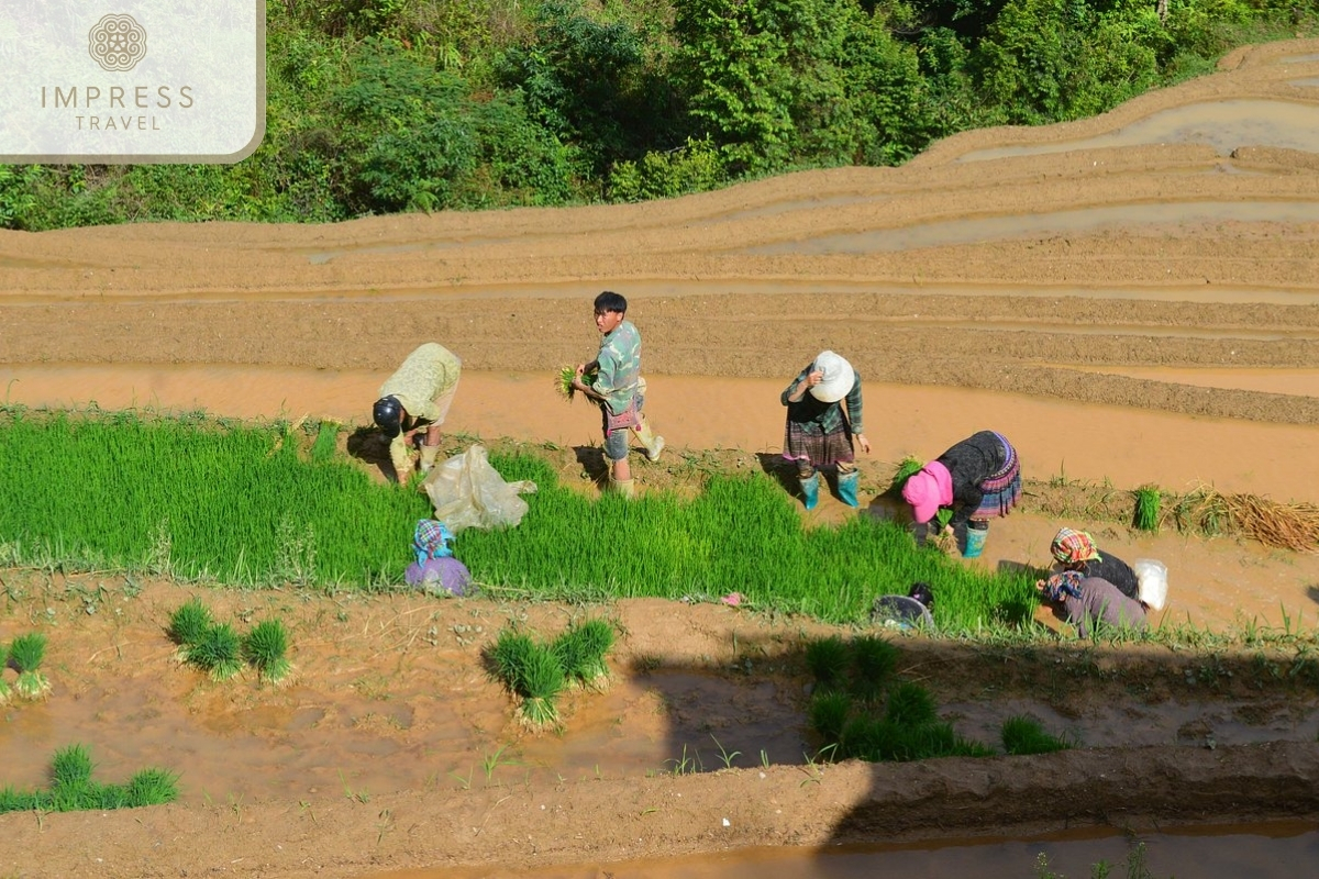 Folk images in Mu Cang Chai Trekking Tour