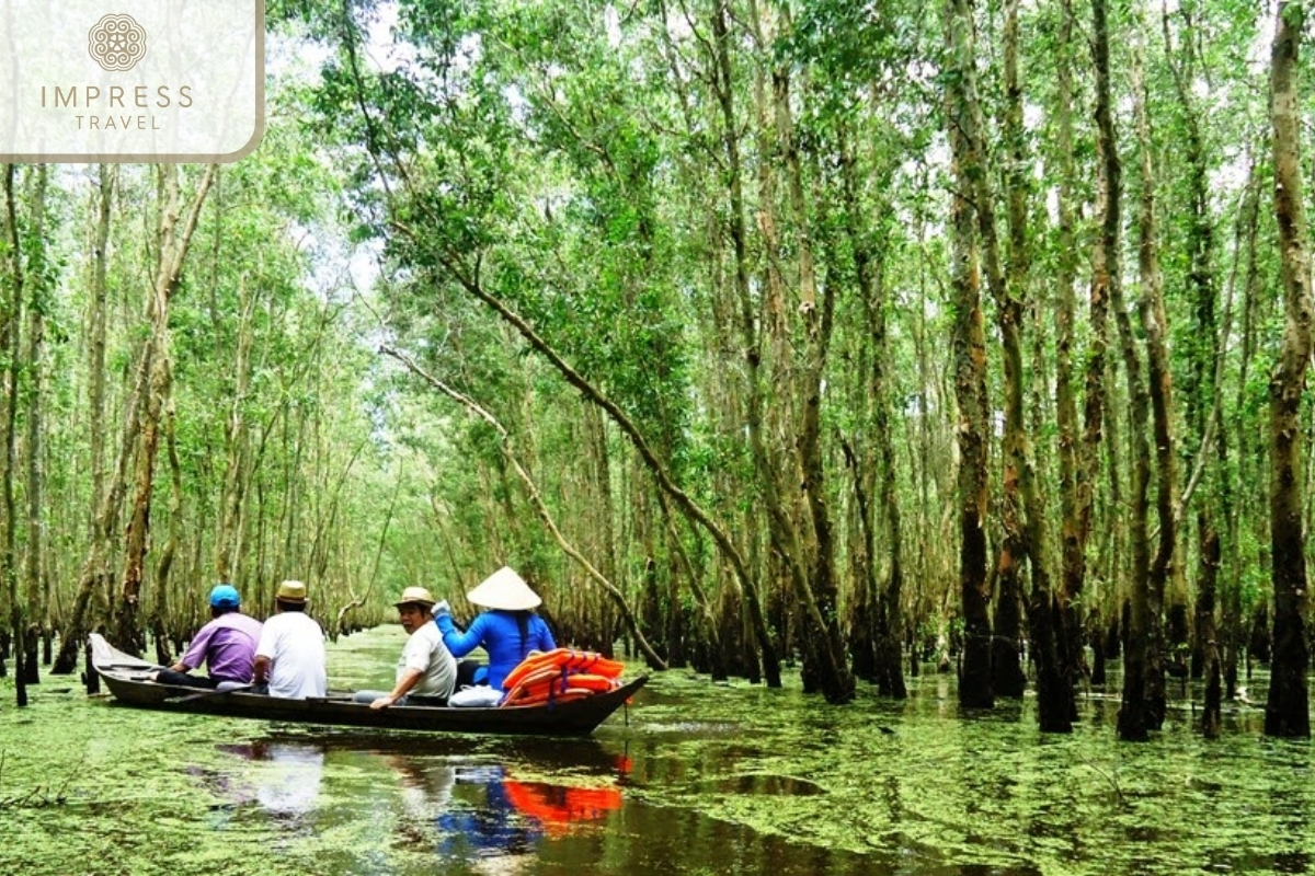 Tram Forest for Explore Dong Thap Muoi,