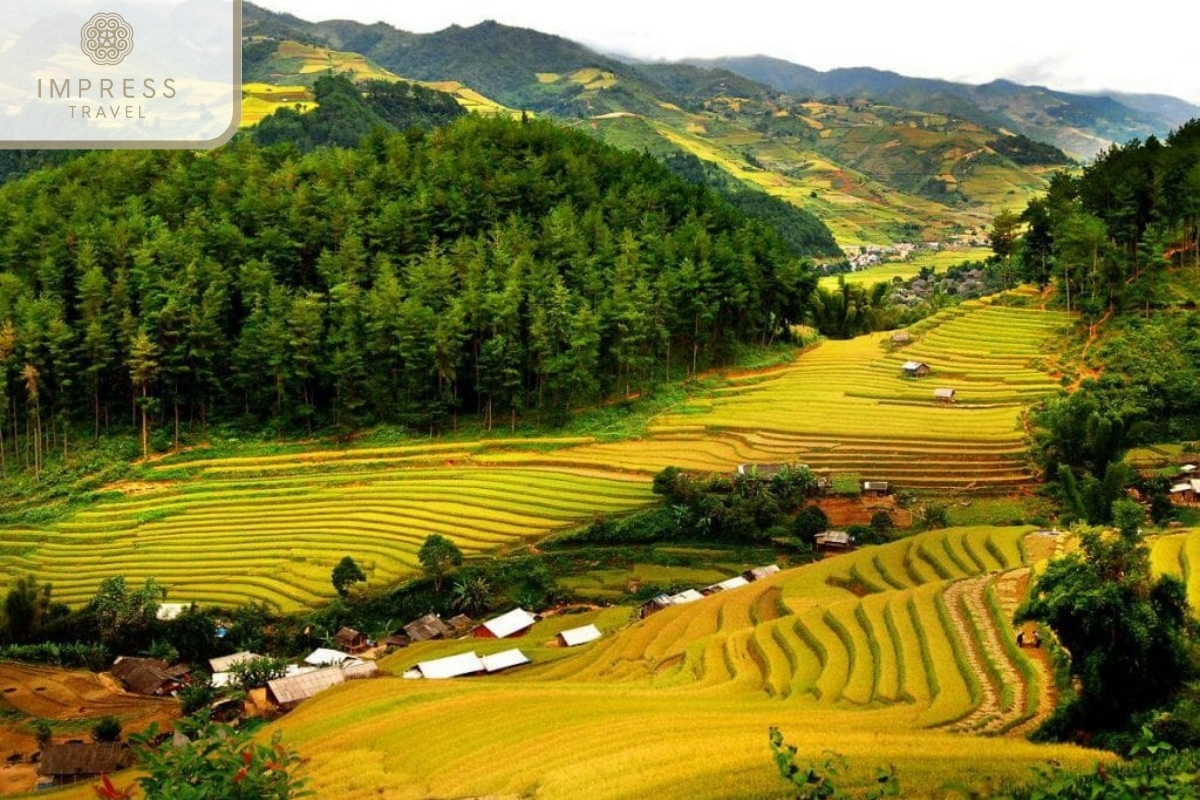 Pu Luong for Ninh Binh - Trekking in Pu Luong