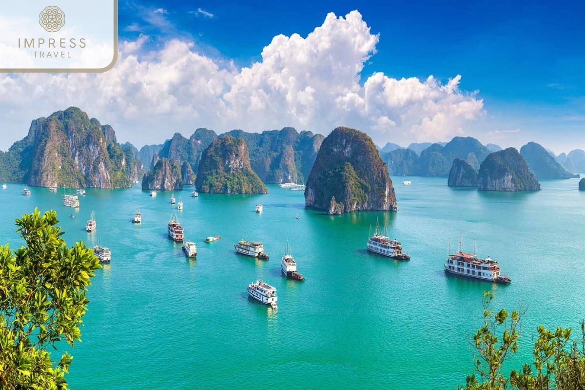 Ha Long Bay of the Sapa Adventure Tour