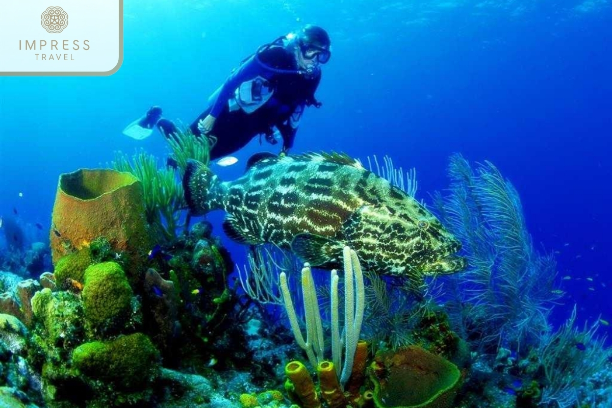 Diving Tour In Nha Trang 