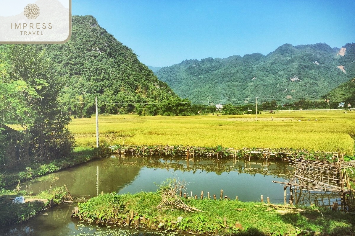 Mai Chau Valley of Breathtaking Tours and Pu Luong Culture