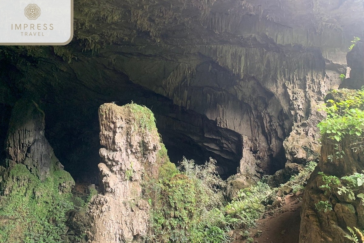 Bat Cave in Breathtaking Tours and Pu Luong Culture