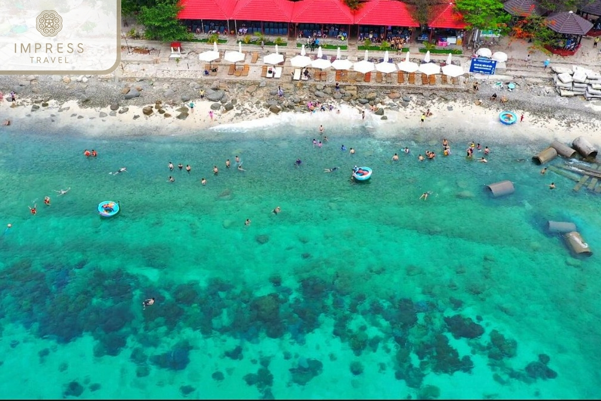 Snorkeling Experience at Hon Mun Island