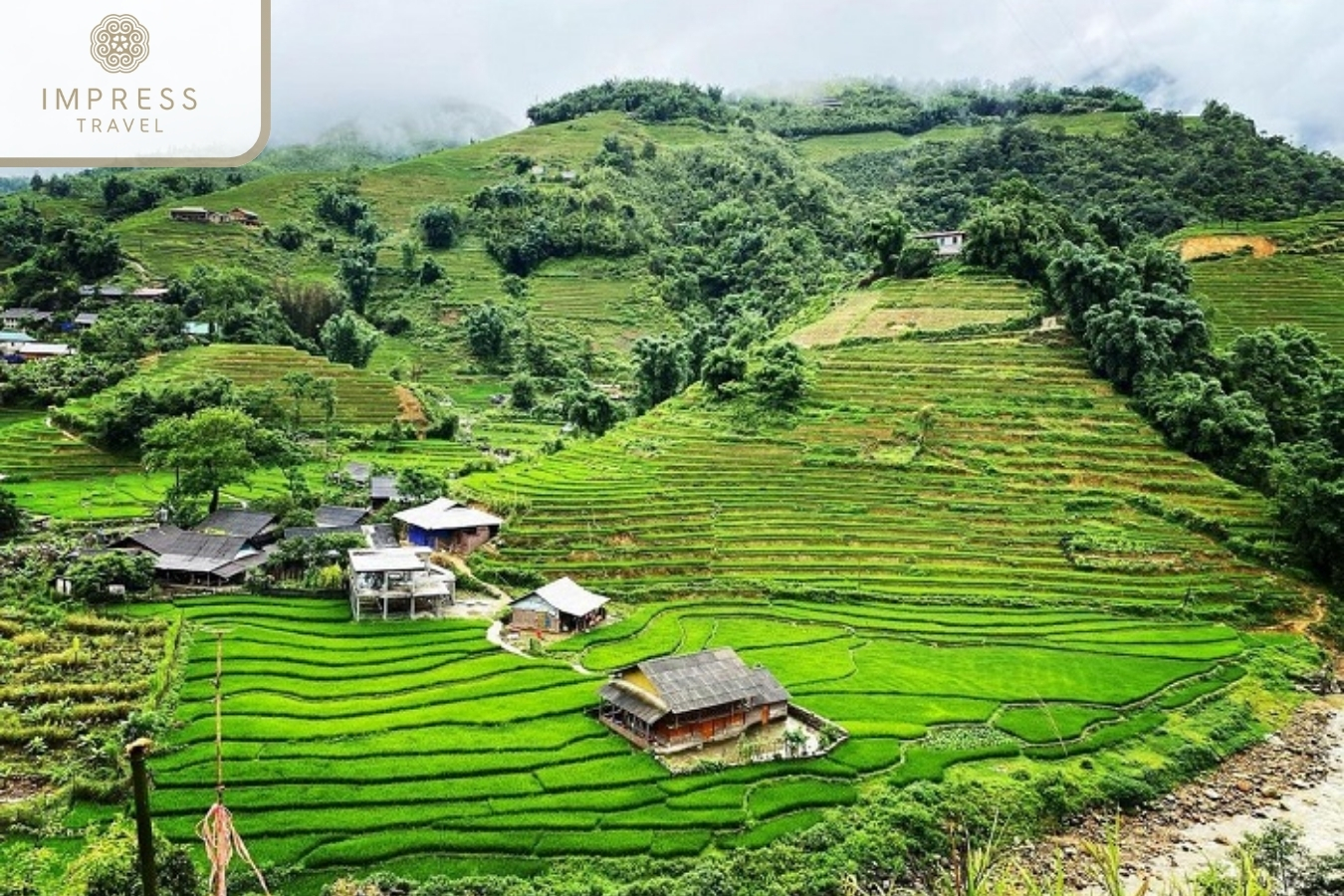 Y Linh Ho for Trekking through Rice Terraced Fields