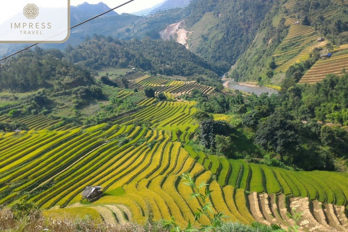 Mu Cang Chai 