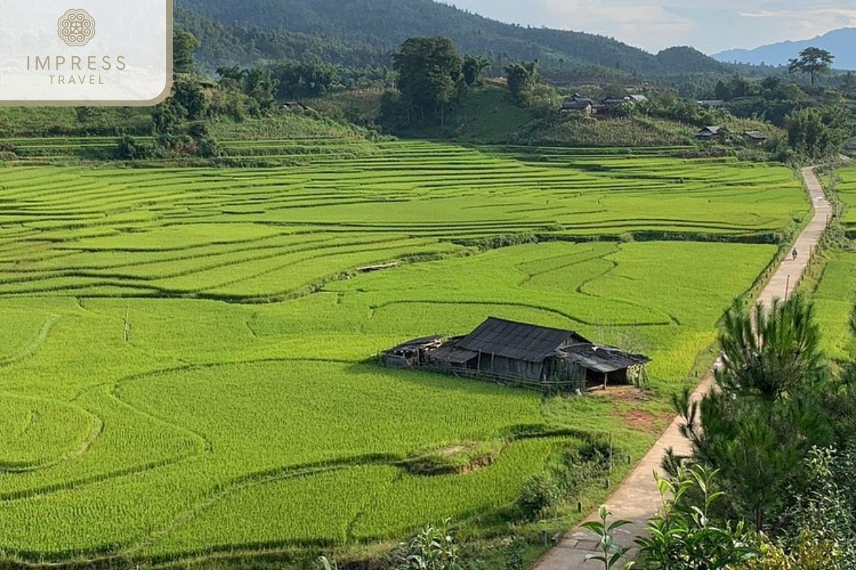 Small villages of the Private Tours to Explore Mu Cang Chai 