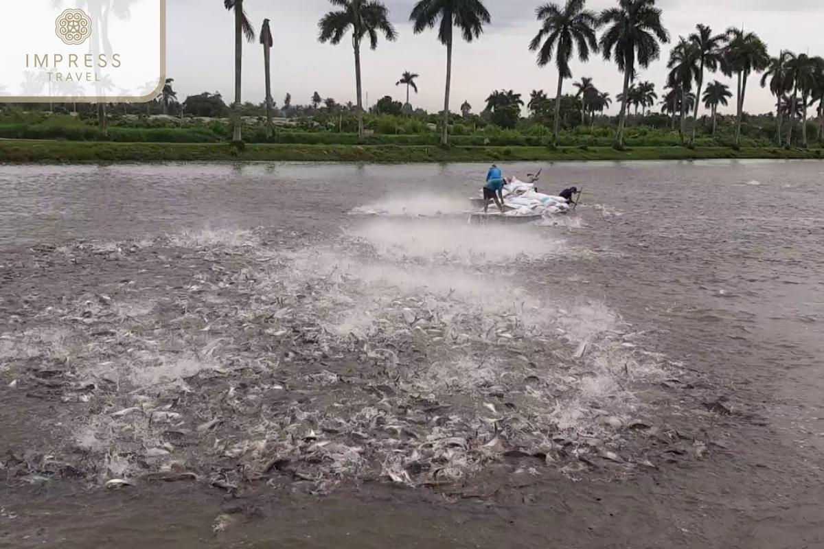 Fish Farms in Full-Day Mekong Discovery Group Tour