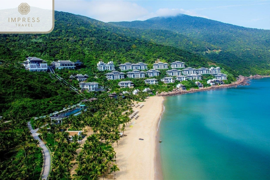 Son Tra Peninsula of the stunning natural scenery in Danang