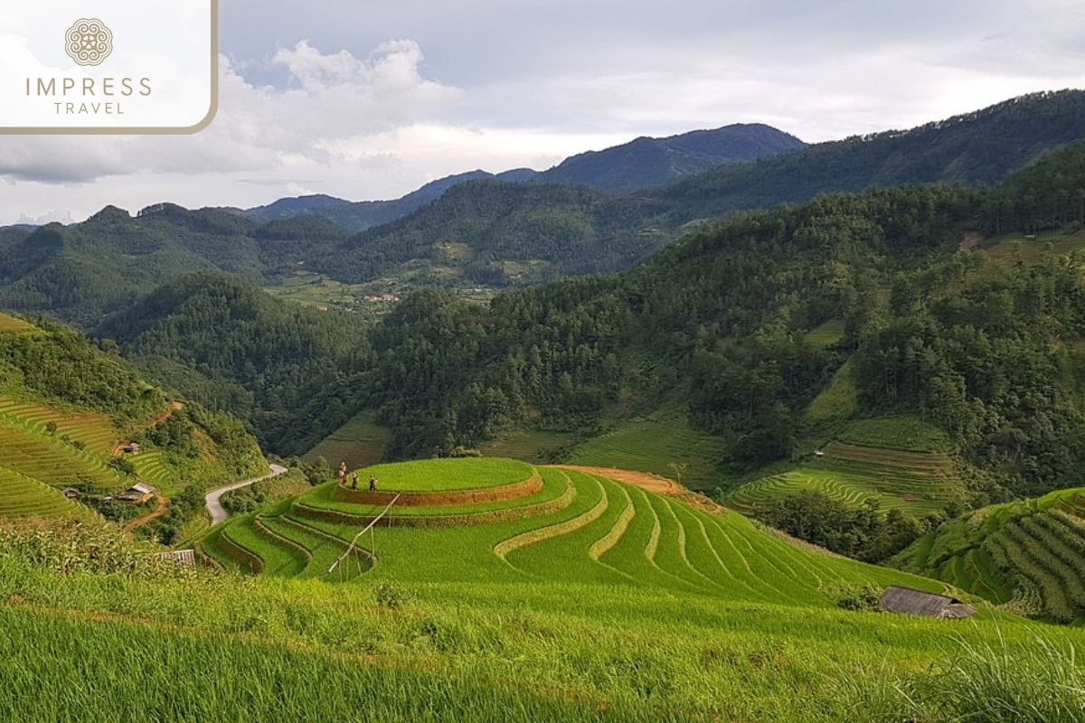 Mu Cang Chai 