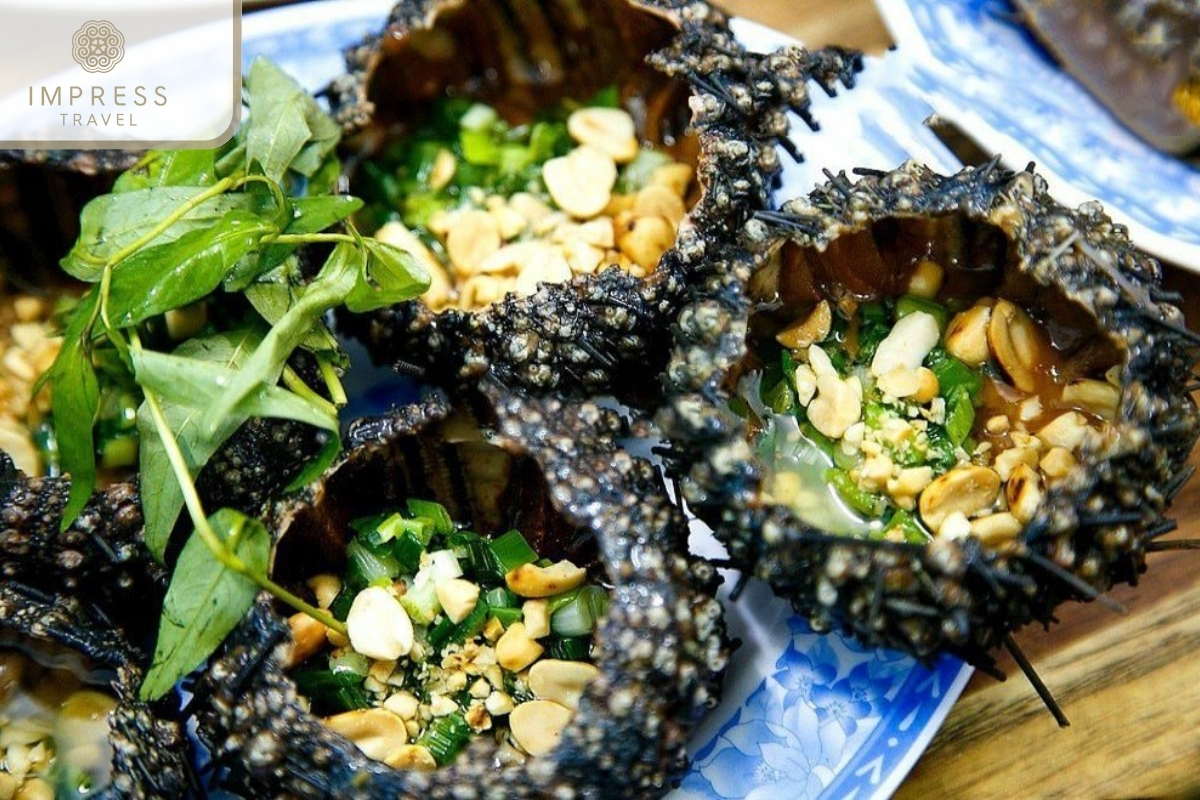 Nhum bien (sea urchin) in Clear Water Beaches of Phu Quoc Island