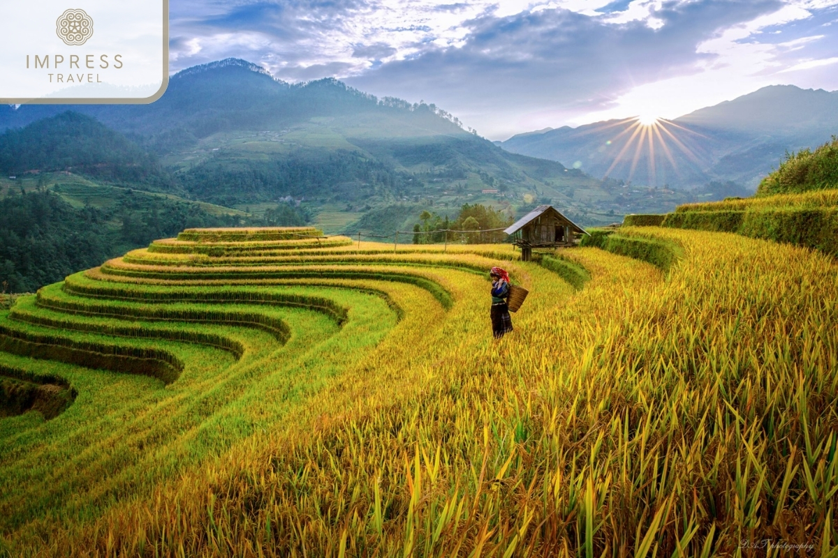 Mu Cang Chai