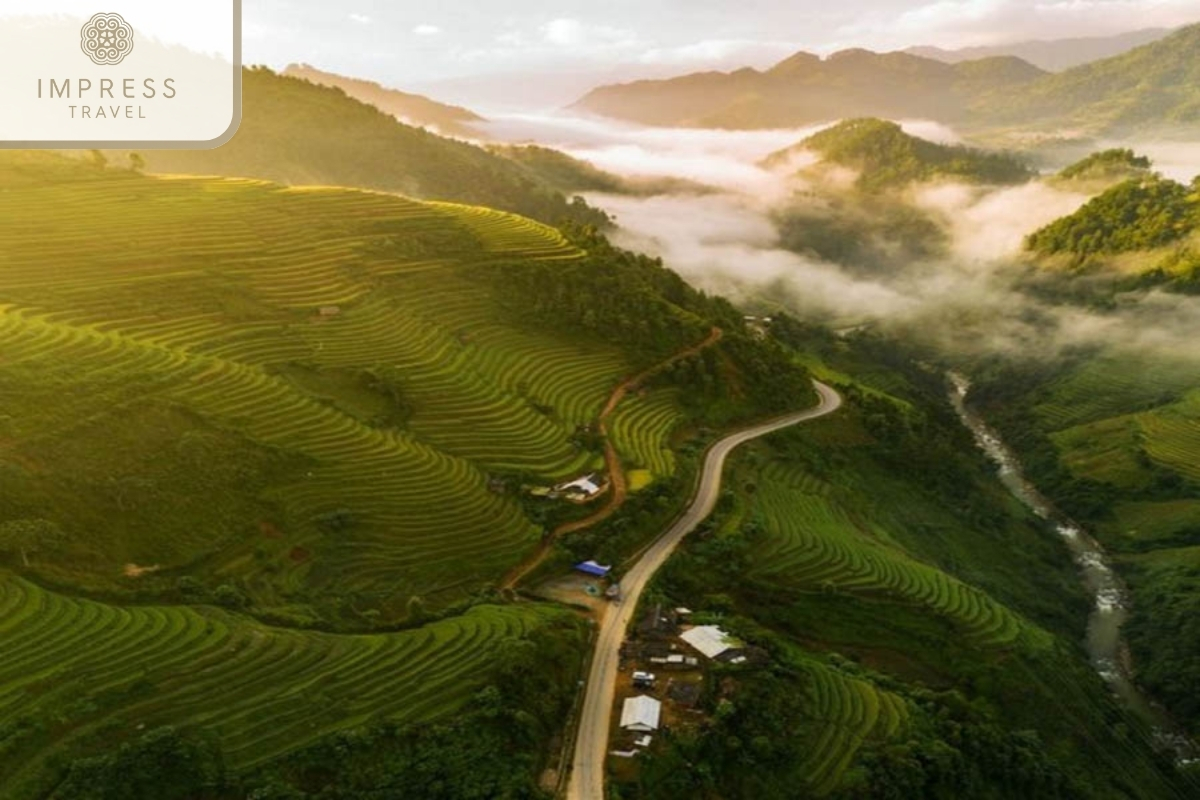 Khau Pha Pass of the Yellow Rice Harvest Season in Mu Cang Chai