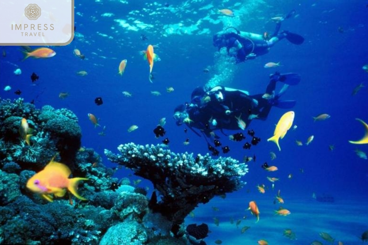 Scuba Diving for a Tour to Vinh Hy Bay from Nha Trang