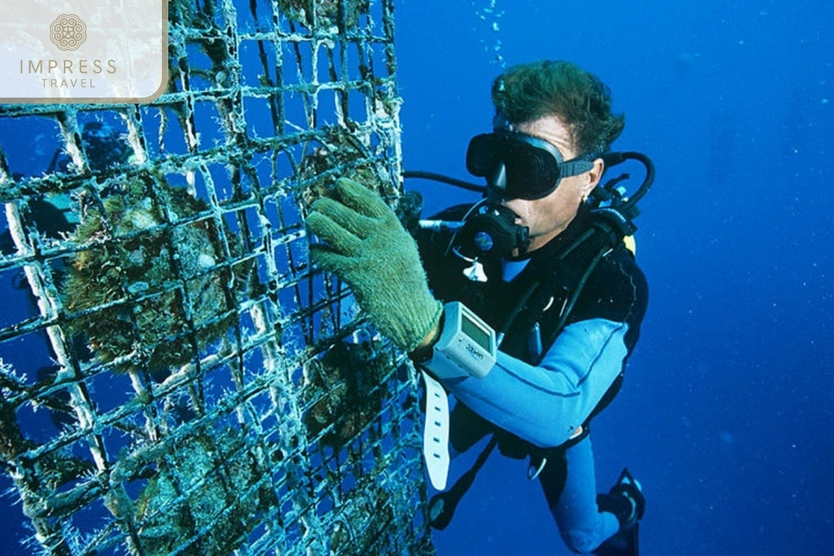 Pearl Harvesting Demonstration in pearl farm on Phu Quoc Island