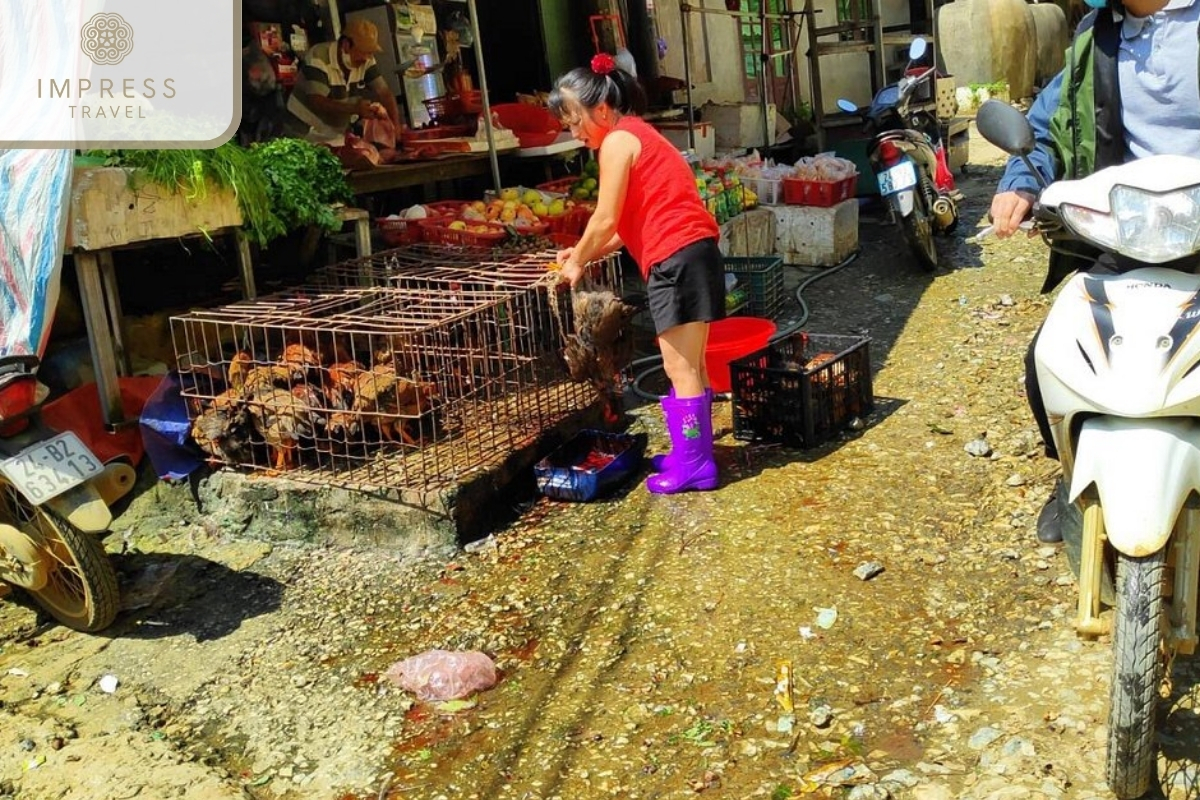 Local market in Explore and Stay in Ho Village