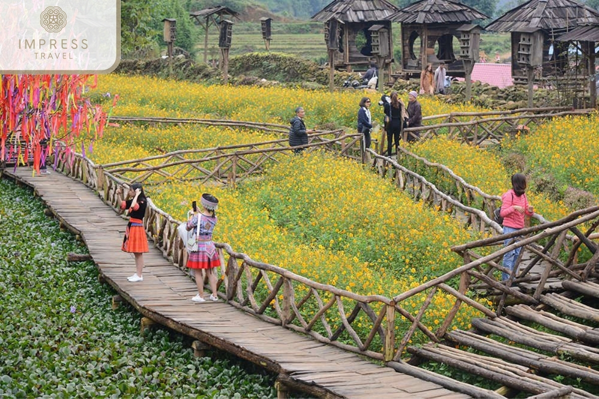 Cat Cat Village of Breathtaking Landscapes In Sapa 