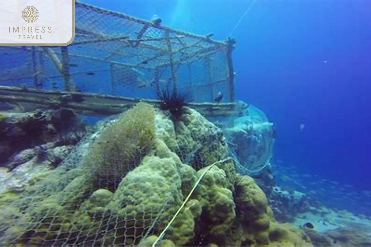 Pearl Farm in the Famous Fish Sauce Factory in Phu Quoc