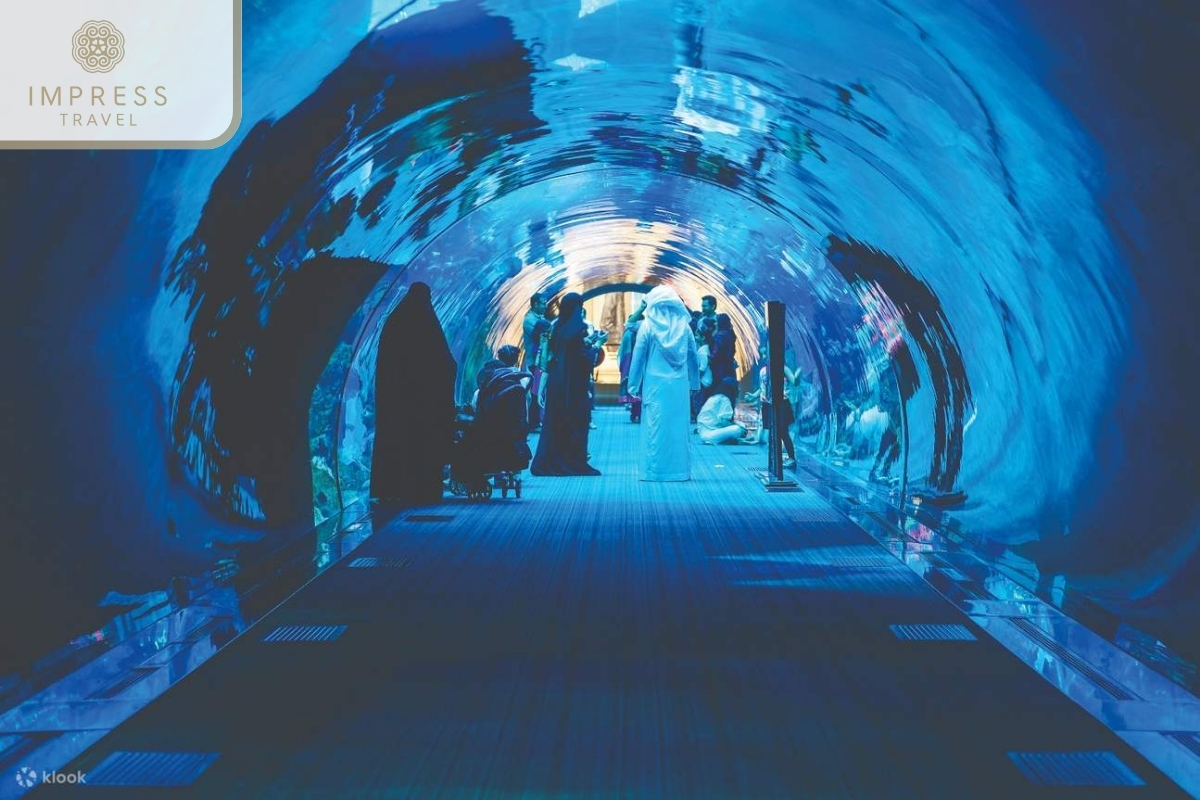 Aquarium Tunnel in Nha Trang Oceanographic Institute Tour 