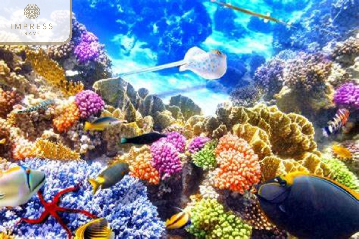 Marine Species Exhibits in Nha Trang Oceanographic Institute Tour 