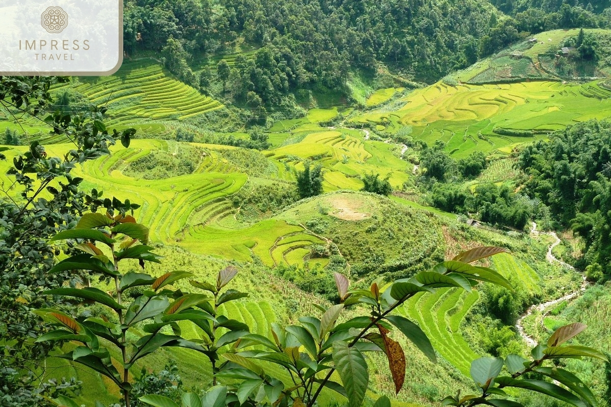 Muong Hoa Valley in fascinating landscapes in Sapa tours