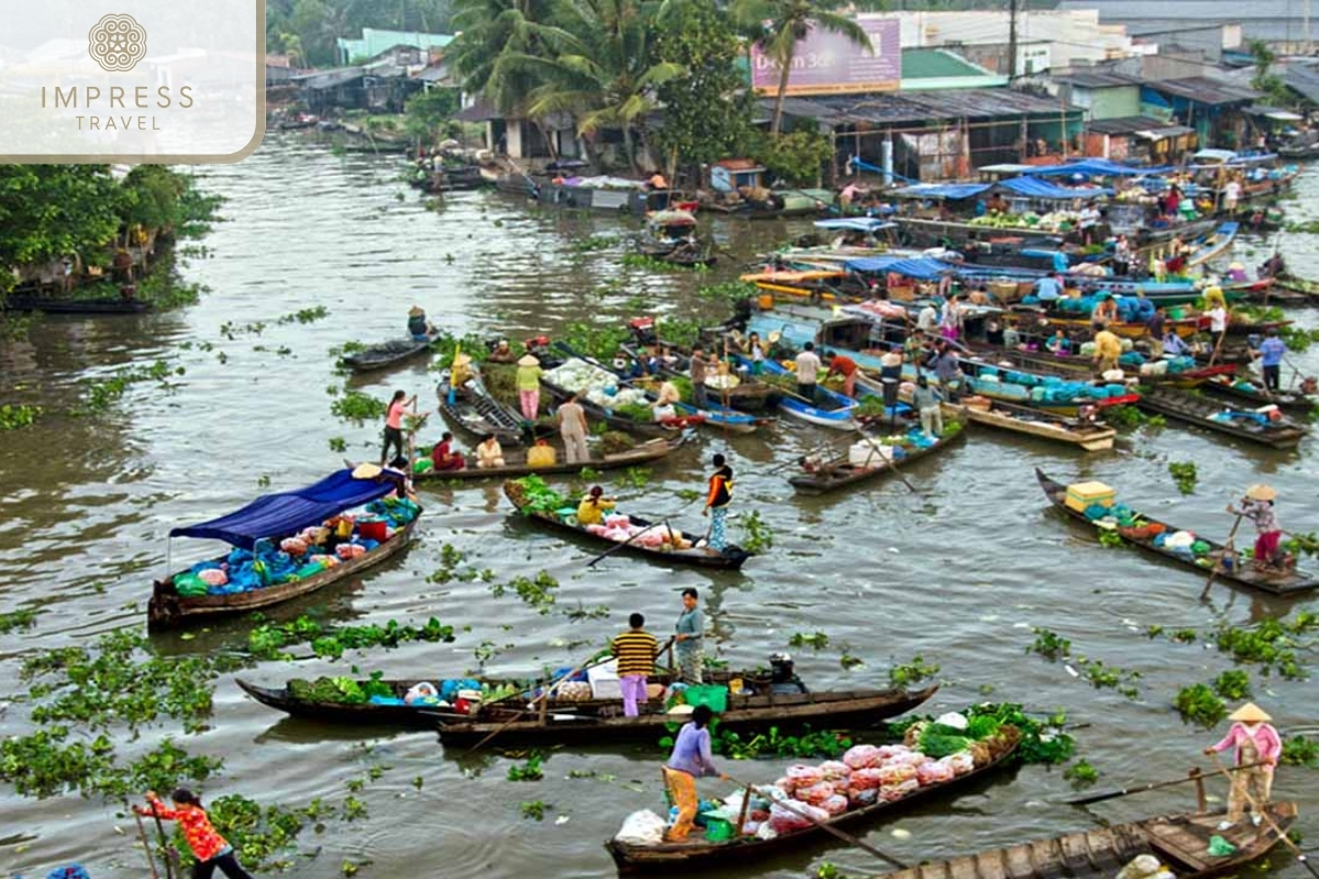 Nga Bay (Phung Hiep) Floating Market