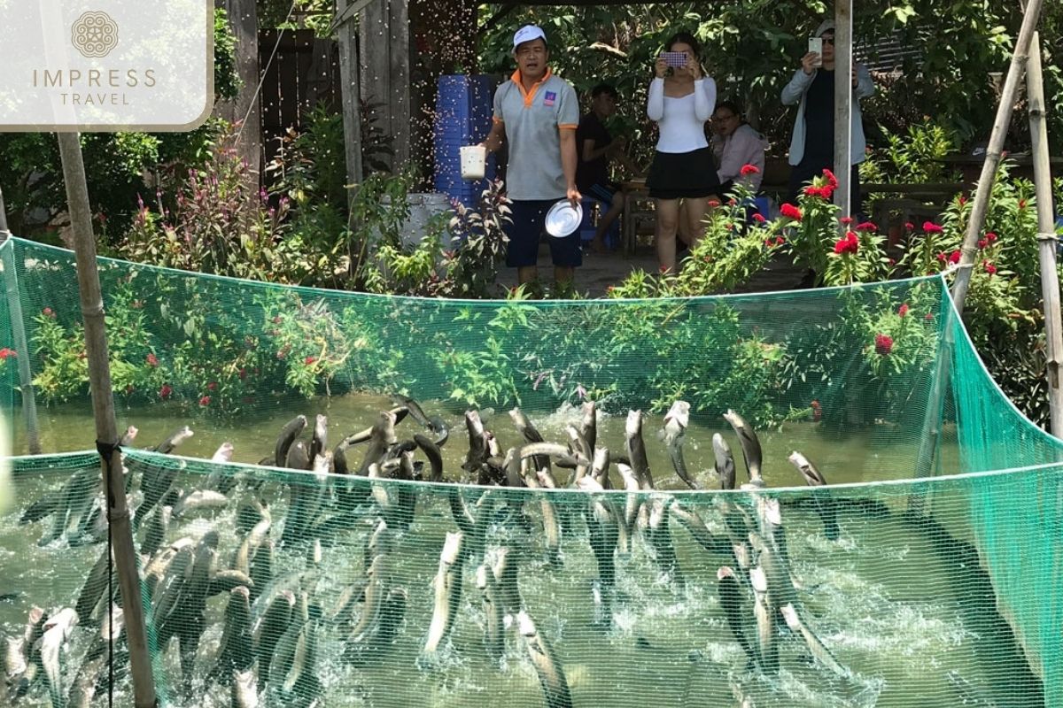 Flying Snakehead Fish in Eco Journey in Can Tho with Green Village Mekong