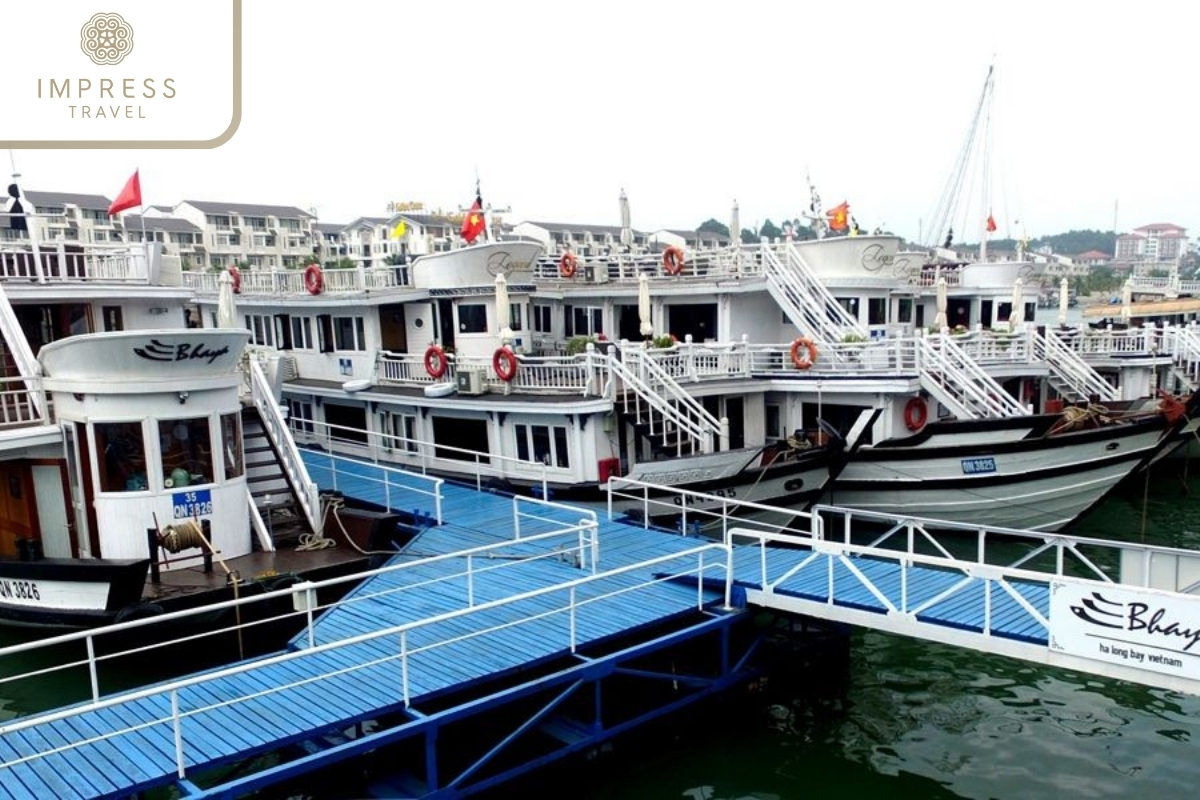 Tuan Chau Habour in An Amazing Experience at Trong Cave