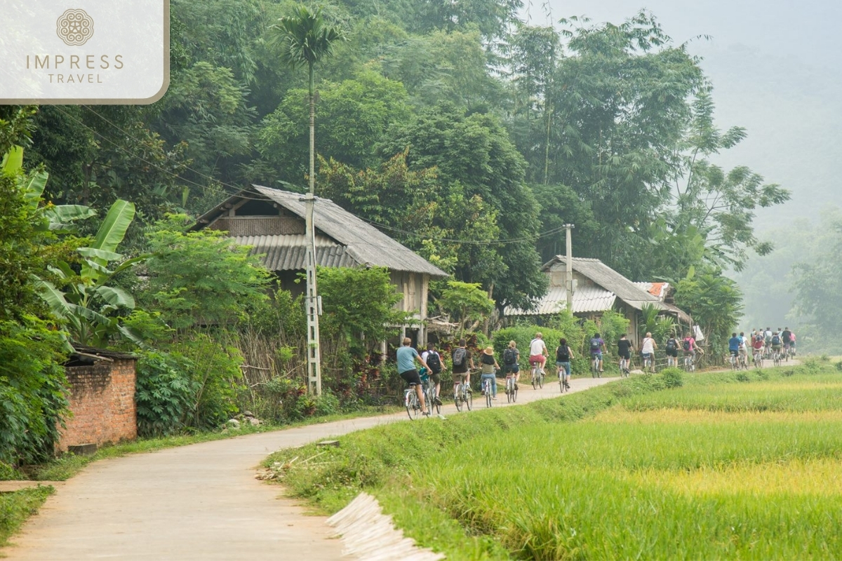 Cycling to visit the fields