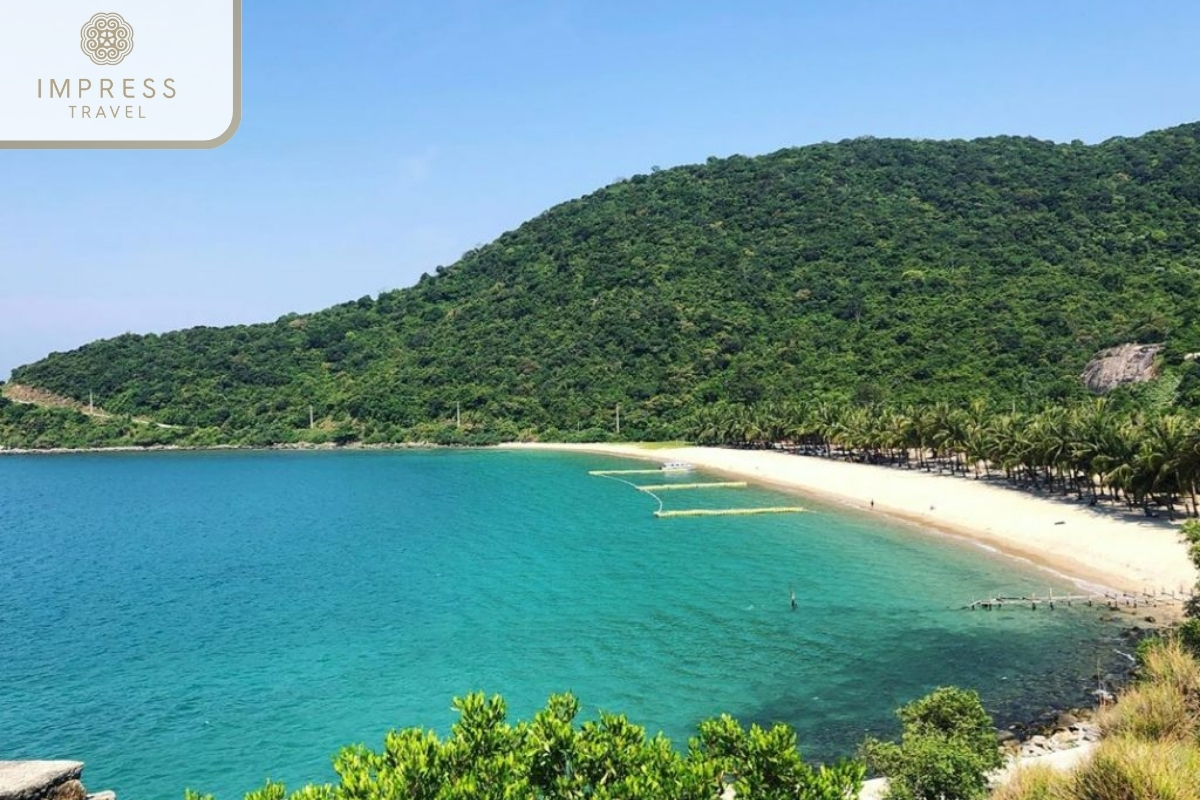 Bai Ong in Cham Island Tour From Hotel in Danang or Hoi An