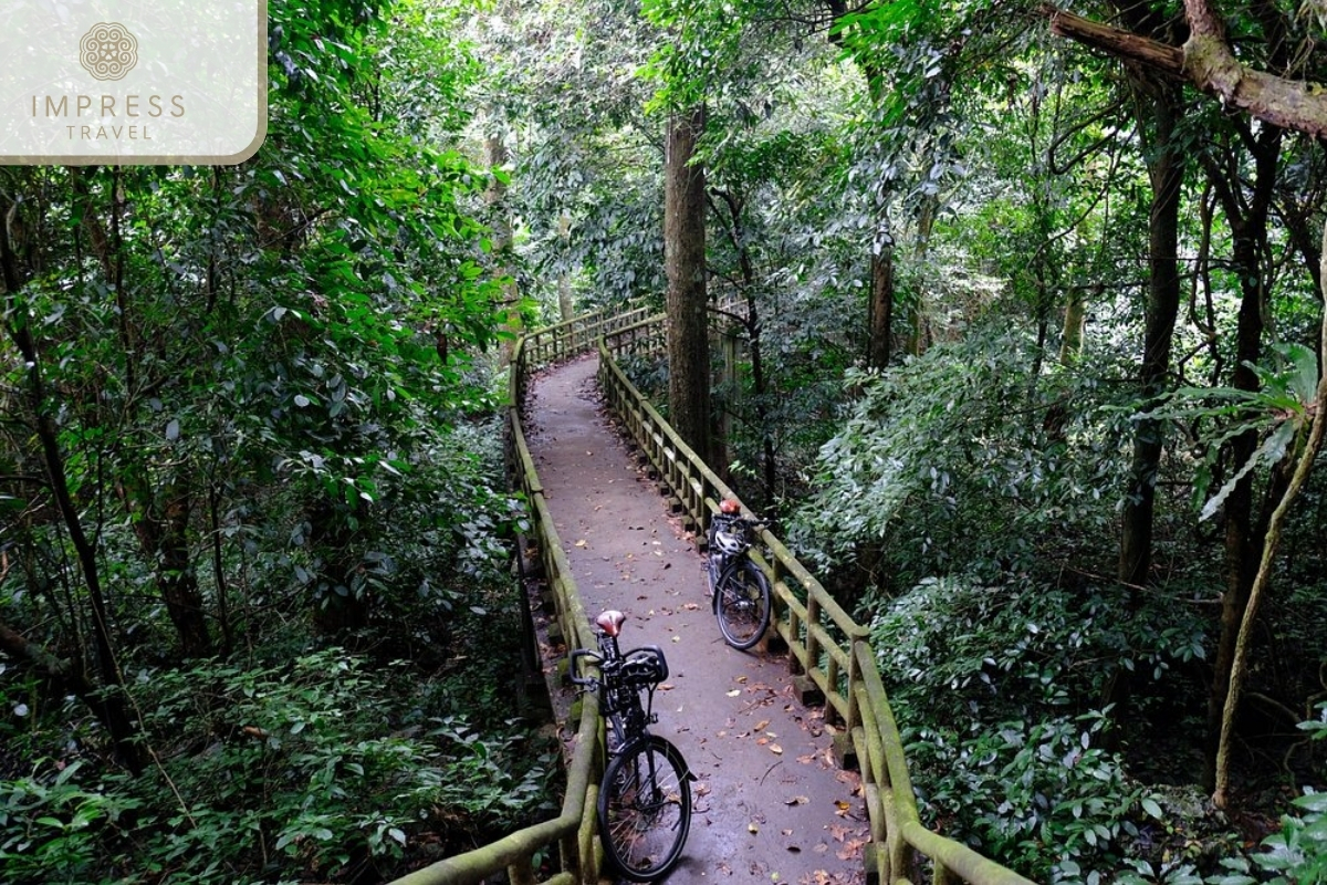 Cuc Phuong National Park IN Ninh Binh Wildlife and Bird Watching Tour