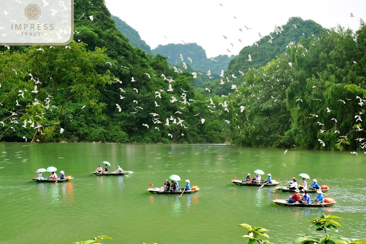 Bird watching in Ninh Binh Wildlife and Bird Watching Tour