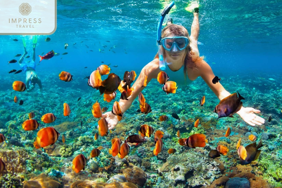 snorkeling and scuba diving