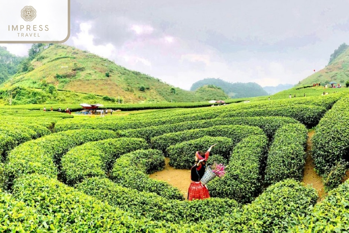 Thanh Son in Mu Cang Chai with an Amazing Motorbike Tour