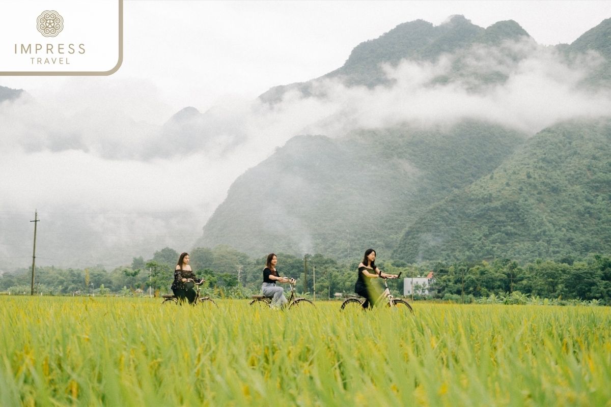 Fresh morning in the Vast Rice Fields of Mai Chau