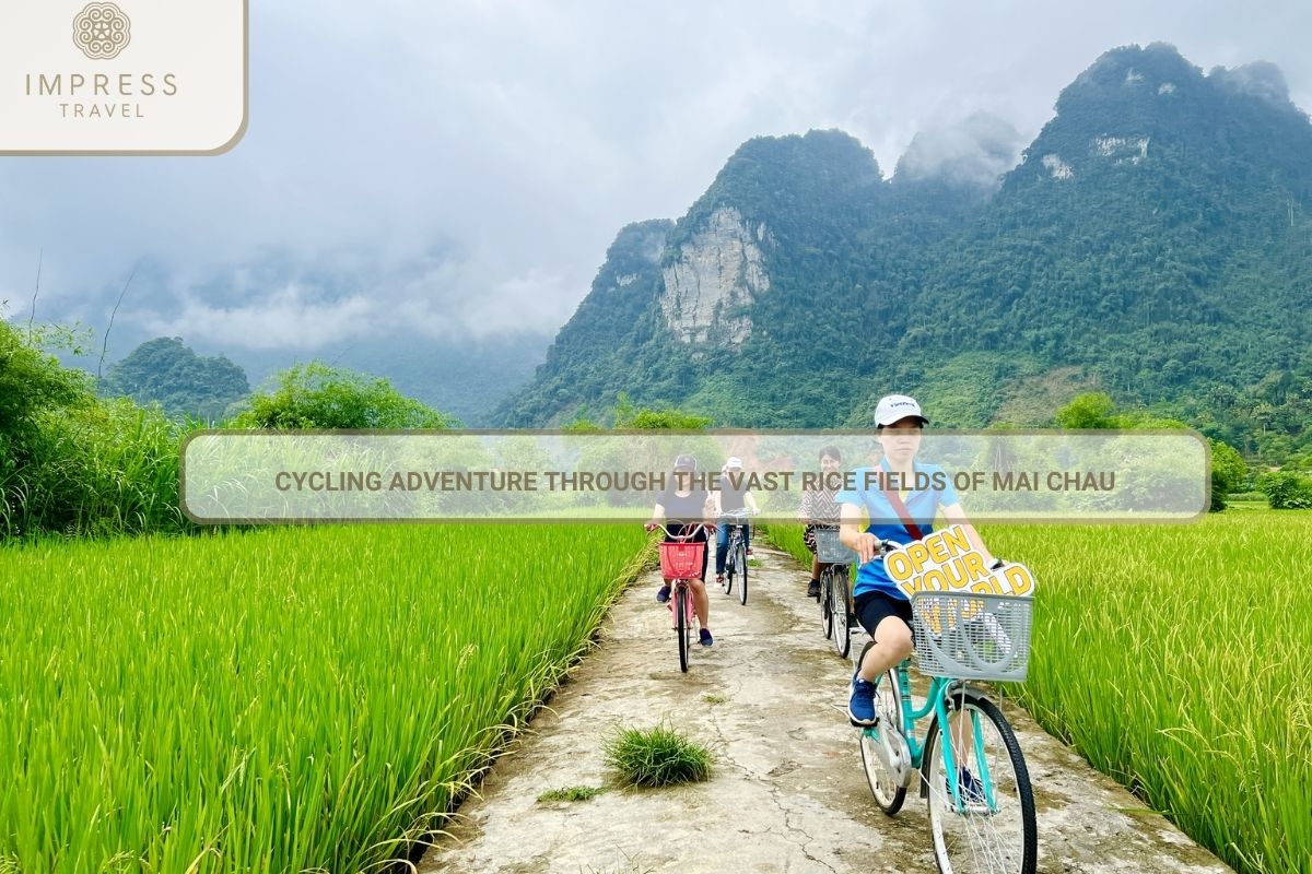 Cycling Adventure Mai Chau tours cross Vast Rice Fields