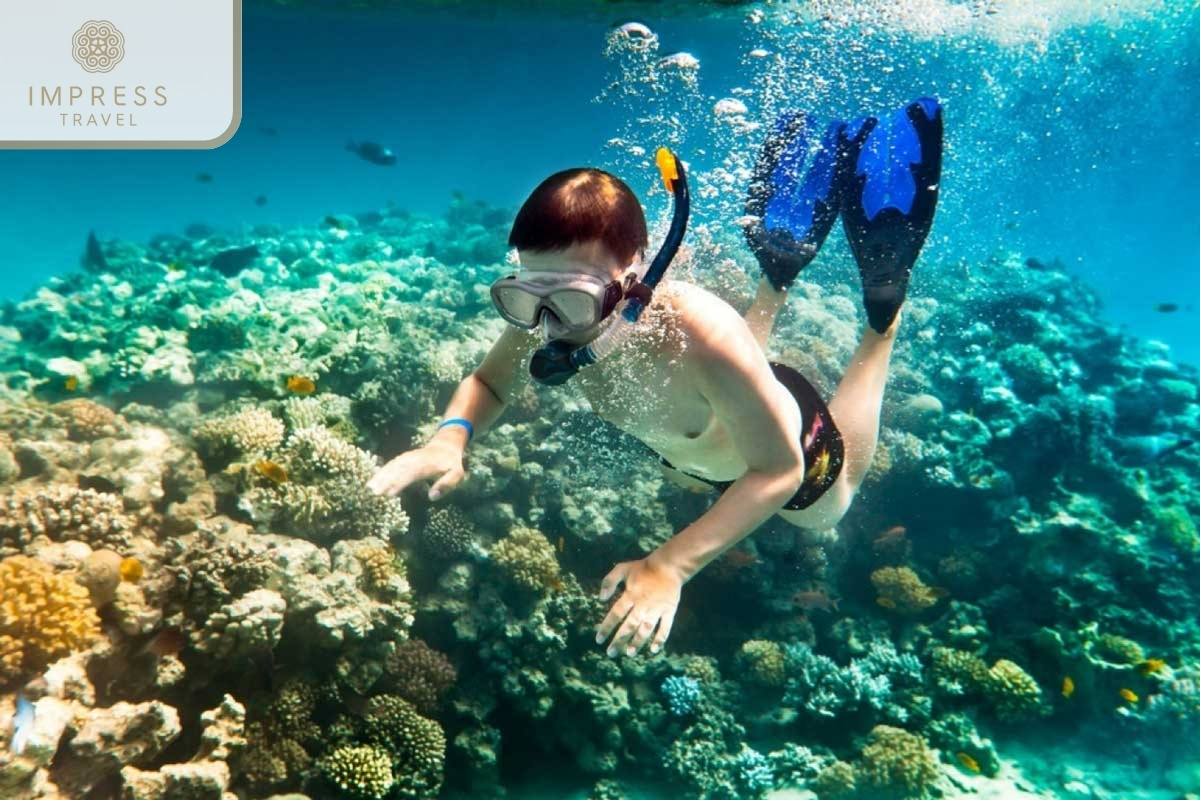 snorkeling in Cham Island in Danang To Cham Island Tour