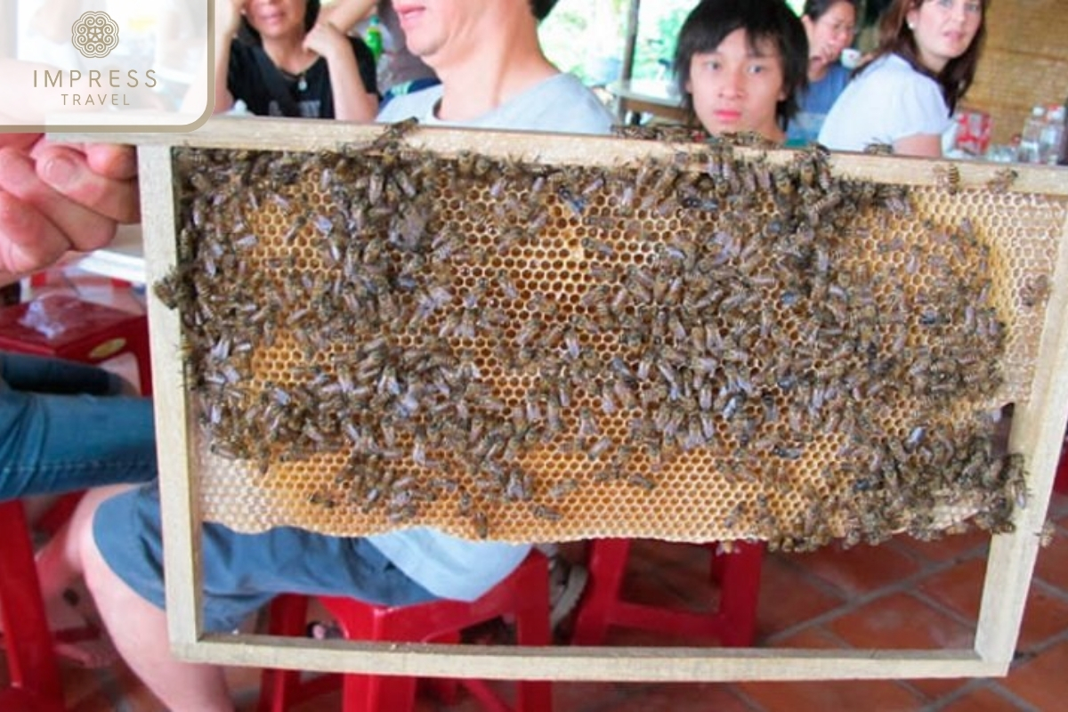 Honey bee farm 