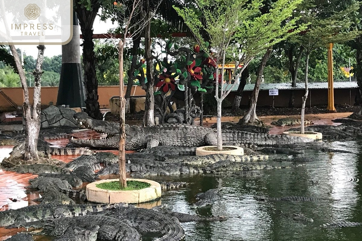 The Kingdom of Crocodiles in Suoi Tien Cultural Theme Park