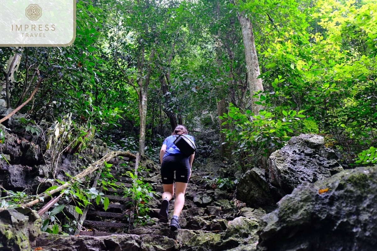 Cuc Phuong National Park in Ninh Binh with Trekking and Paddling Tours