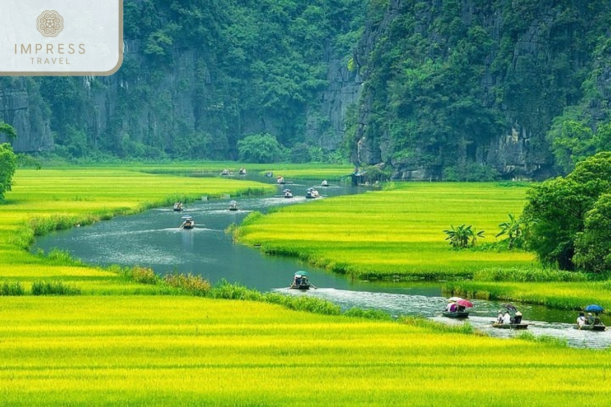 Tam Coc in Ninh Binh with Trekking and Paddling Tours