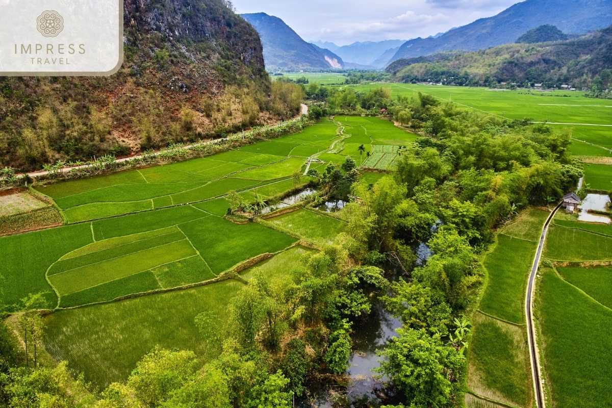 Ban Leo Rice Field on a Pu Luong Tour