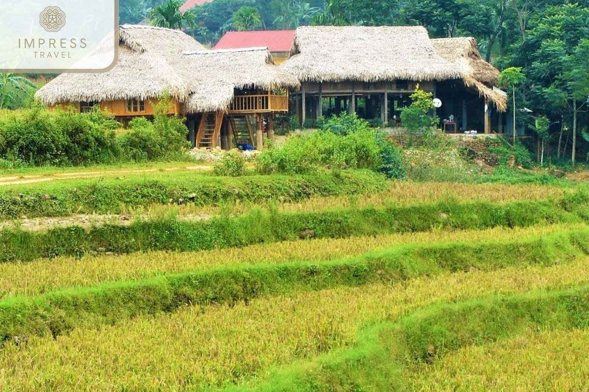 Kho Muong Village in Ban Leo Rice Field on a Pu Luong Tour