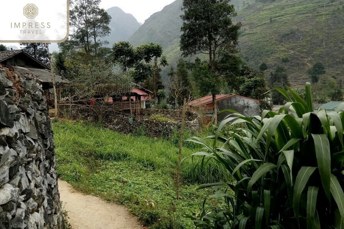 Meo Vac in Ha Giang Trekking to Ethnic Minority Villages